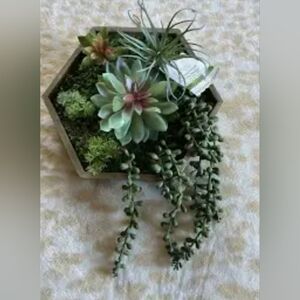 Michaels Green and Pink Succulent Wall Art